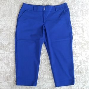 Apt. 9 Torie Capri Pants 14 Blue